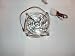 Fan, Chassis, 80mm, Crystal Clear w/ Green LED's in Center, Ball Bearing