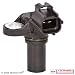 Motorcraft DY985 Crankshaft Position Sensor