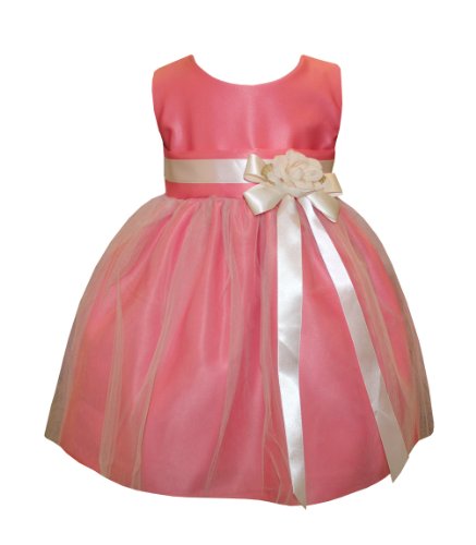 Sweet Kids Baby Girls' Vintage Satin & Tulle Flower Girl Pageant Dress B402
