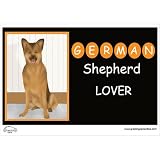 Greeting Cars German Shepherd Dog Lover Car Magnet