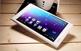 iwarenkorb W17Pro - Android 4.0.3 tablet pc ICS Cortex A9 Dual Core 1GB RAM Tablet PC