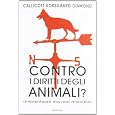 Dettagli prodotto