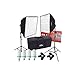 RPS Studio Hybrid Still & Video Softbox Kit with 2 Softboxes, 2 Light Stands & Kit Bag Also Includes 4 70 W Daylight Lamps & 2 Socket Adapters