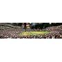 Philadelphia Phillies 2008 World Series Champions On Field Celebration Stadium Panoramic Print (you choose frame and mat color)