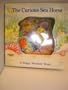 The Curious Sea Horse (Magic Window Books)