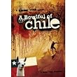 A Bowlful of Chile - Surfing DVD