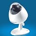 Electronics Wireless PTZ Pan Tilt Zoom Network IP Camera, 802.11g, 2 Two Way Audio, Dome camera option, Mpeg4, Video, Audio, Color REVIEWS