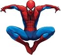 RoomMates RMK1078GSCS Amazing Spiderman Peel & Stick Giant Applique