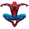 RoomMates RMK1078GSCS, Amazing Spiderman, Peel and Stick Giant Applique
