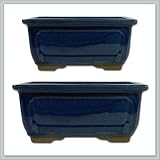 2 piece Bonsai pot set | Blue Ceramic size 6/7 - Deep - joebonsai