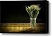 Beauty of the Valley Canvas Print / Canvas Art - Artist Evelina Kremsdorf