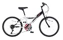 Townsend Aztec 20" Wheel Boys Bike