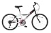 Townsend Aztec 20" Wheel Boys Bike