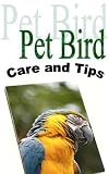 Pet Bird Care and Tips (Thinking of Adding a Pet Bird to Your Family; Do You Know How to Take Care of It? Before You Buy Your Pet Bird Read This Book.)
