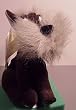 Disney Bean Bag Plush Lady and the Tramp Jock Dog
