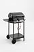 Landmann-Peiga ® LAVASTEIN-GASGRILL 49X38CM
