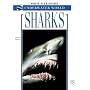 Sharks de Angelo Mojetta