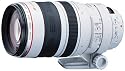 Canon - Telephoto zoom lens - 100 mm - 400 mm - f/4.5-5.6 L IS USM - Canon EF
