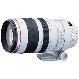 Canon - Telephoto zoom lens - 100 mm - 400 mm - f/4.5-5.6 L IS USM - Canon EF