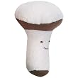 Organic Mushroom by Under the Nile