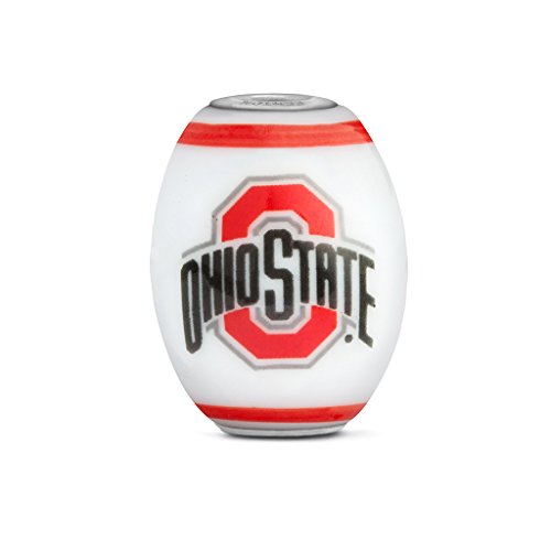 Ohio State Pandora Charms University Pandora Charms