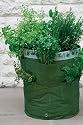 2x Kitchen Herb Patio Planters