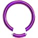 12 Gauge Purple Anodized Titanium Segment Ring