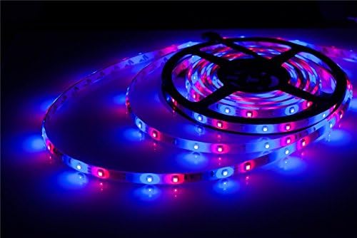 XMASROBE® 2x5m (10m in Total) 3528 SMD 600 RGB LED Strip Lights with 5a Power Supply Adapter +24 Key Colours Ir Controller, for Christmas Decoration Lighting