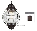 Trans Globe Lighting 69906 RBZ 1-Light Hanging Lantern, Rustic Bronze