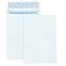 Columbian CO831 9x12-Inch DuraShield Security Tinted White Envelopes, 100 Count