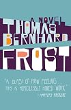Frost: A Novel (Vintage International)