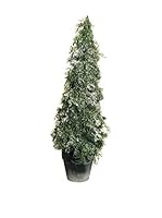 Evergreens Colgante Árbol Blanco/Verde