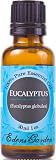 Eucalyptus 100% Pure Therapeutic Grade Essential Oil, 30 ml