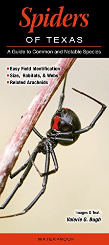 Spiders of Texas: A Guide to Common and Notable Species, by Valerie G. Bugh