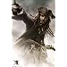 POC POster - Jack Sparrow iten 9087