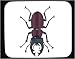 Mouse Pad with male, beetle, insect, mandibles, hane, invertebrate, ekoxe, animal, jaws, arthropod, stag