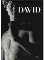 Michelangelo's David