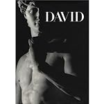 Michelangelo's David book cover