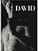 Michelangelo's David