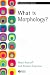 What is Morphology?