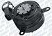 Automotive : ACDelco 15-8428 Radiator Fan Motor