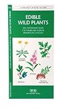 Edible Wild Plants: An Introduction to Familiar North American Species (North American Nature Guides)