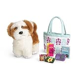 American Girl of Year 2011 Kanani Kanani's Accessories
