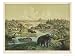 Animals and Plants of the Tertiary Era in Europe Art Giclee Poster Print by Ferdinand...