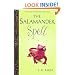 The Salamander Spell (Preguel to the Frog Princess) (Welsh Edition)
