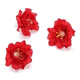 Eigenschaften KnorrPrandell / Gütermann / KnorrPrandell 6529792 - Blüten 2,5cm rot, 36 Stück/Dose