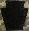 28th Infantry Division ACU Patch