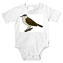 Onesie with warbler, vertebrate, European, flycatcher, svarthatta, perching, animal, avian, bird, songbird