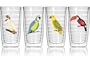 Tervis Tumbler Exotic Birds 16-Ounce Double Wall Insulated Tumbler, Set of 4