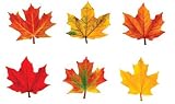 CLASSIC ACCENTS MAPLE LEAVES MINI